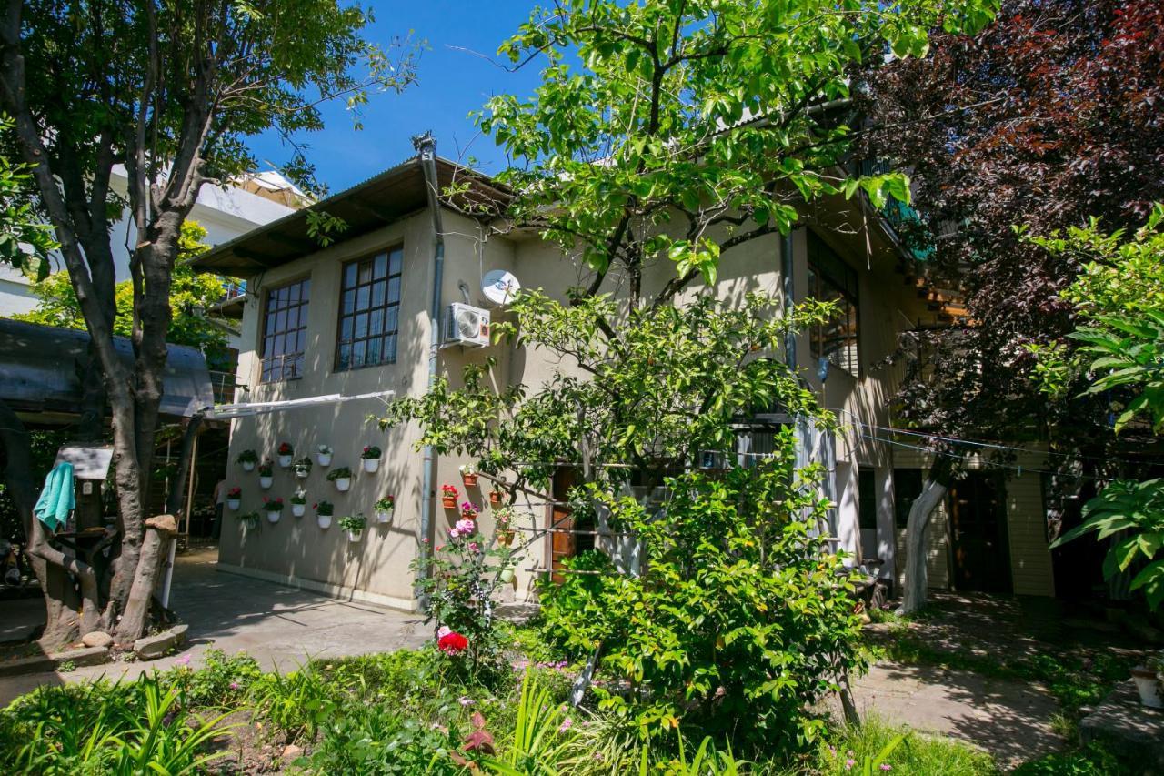 Guest House Lavr Gagra Bagian luar foto