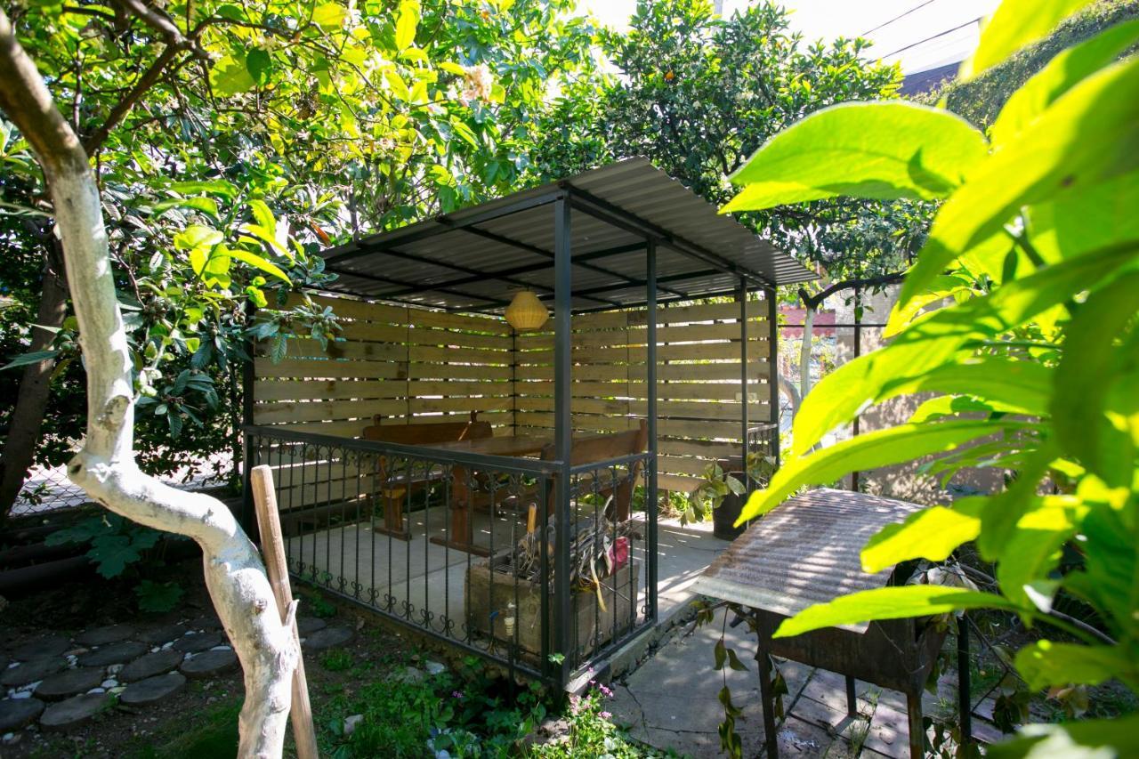 Guest House Lavr Gagra Bagian luar foto