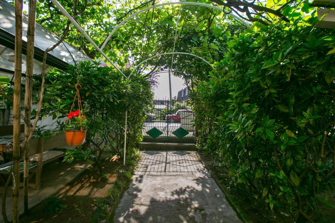 Guest House Lavr Gagra Bagian luar foto